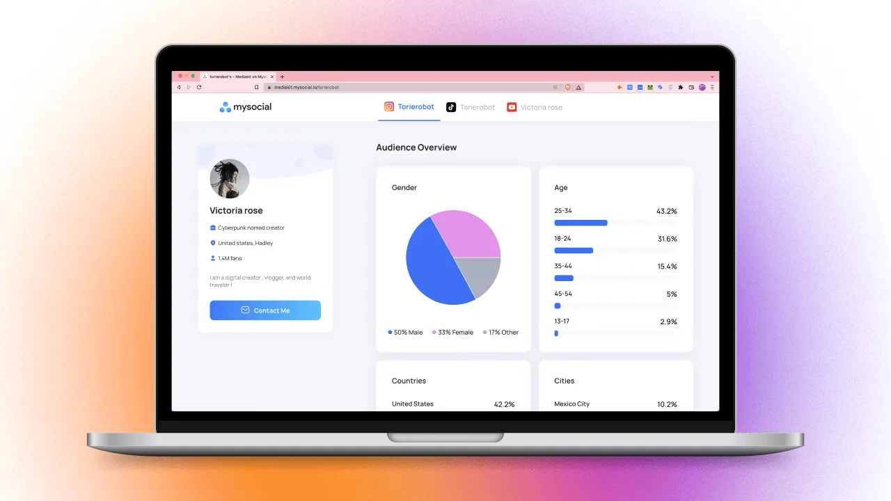 MySocial media kit showing audience demographics with gender, age, and location breakdown